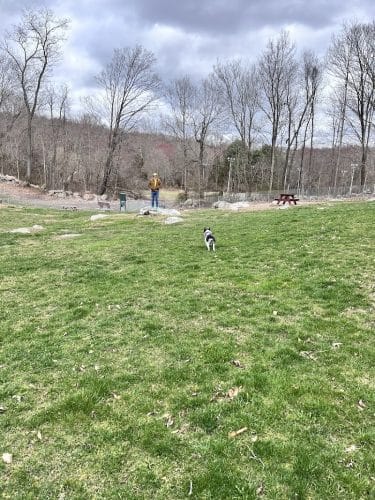Montville Dog Park