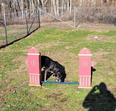 Montville Dog Park