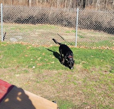 Montville Dog Park