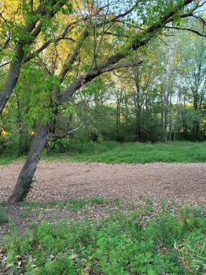 Oakdale Bark Park