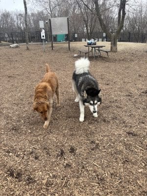 Oakdale Bark Park