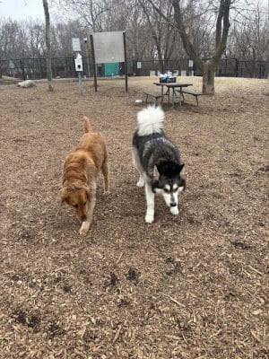 Oakdale Bark Park