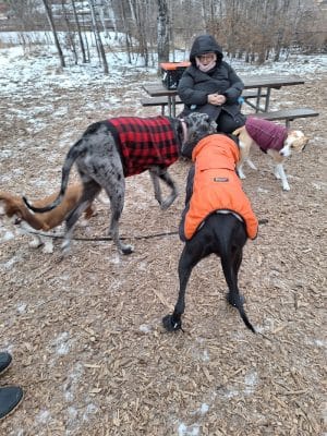 Oakdale Bark Park