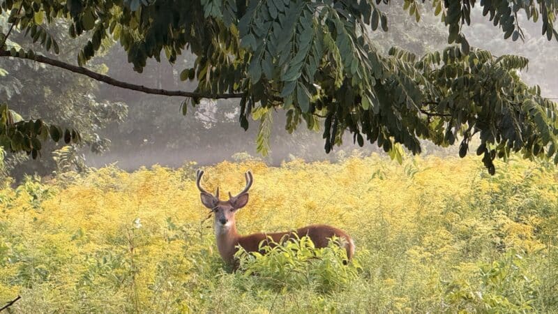 Weltz Conservation Area - Oakhurst, NJ