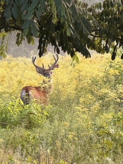 Weltz Conservation Area - Oakhurst, NJ