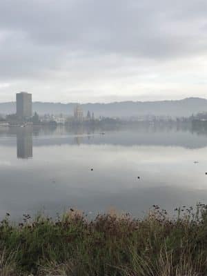 Channel Park