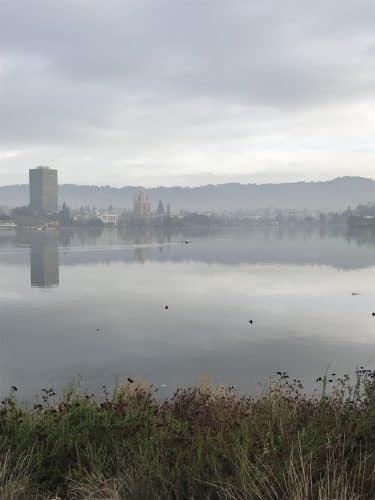 Channel Park