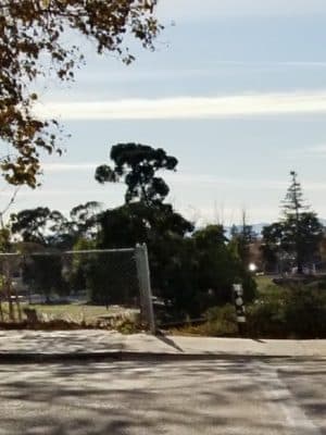 Channel Park
