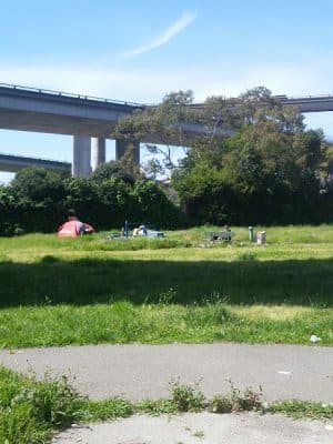 Grove Shafter Park