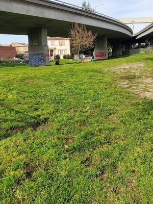Grove Shafter Park