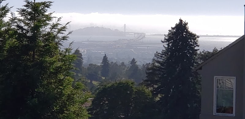 Sunflower Path - Oakland, CA
