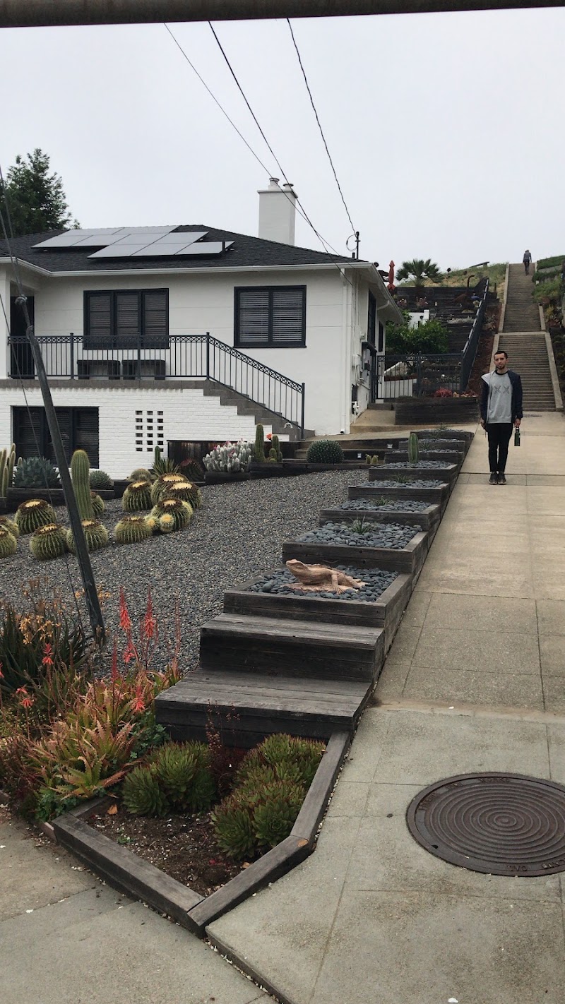 Sunflower Path - Oakland, CA