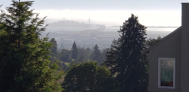 Sunflower Path - Oakland, CA