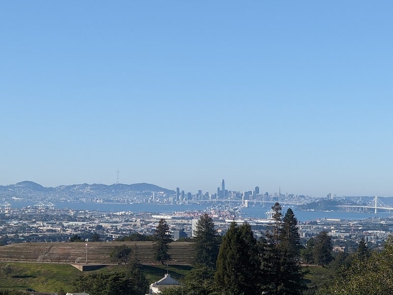 Sunflower Path - Oakland, CA