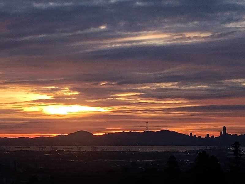 Sunflower Path - Oakland, CA