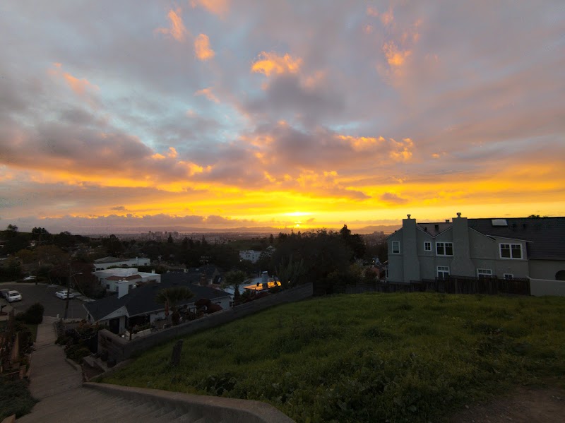 Sunflower Path - Oakland, CA