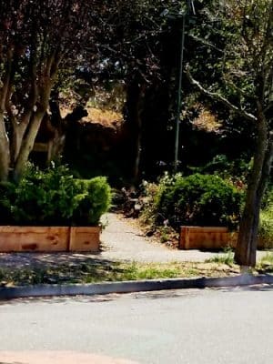 Ayala Park