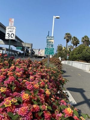 Bay Bridge Bike Trail