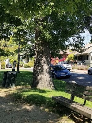 Colby Park