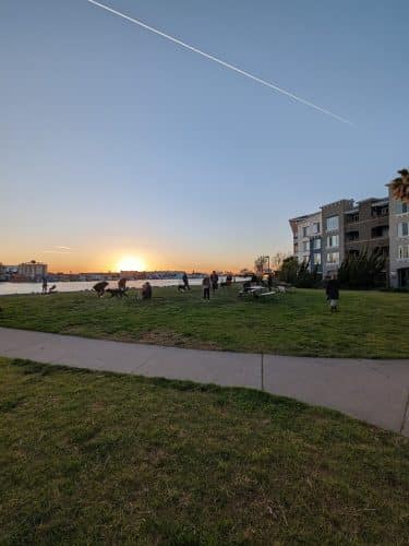 Dog Play Area at The Landing
