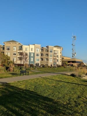 Dog Play Area at The Landing