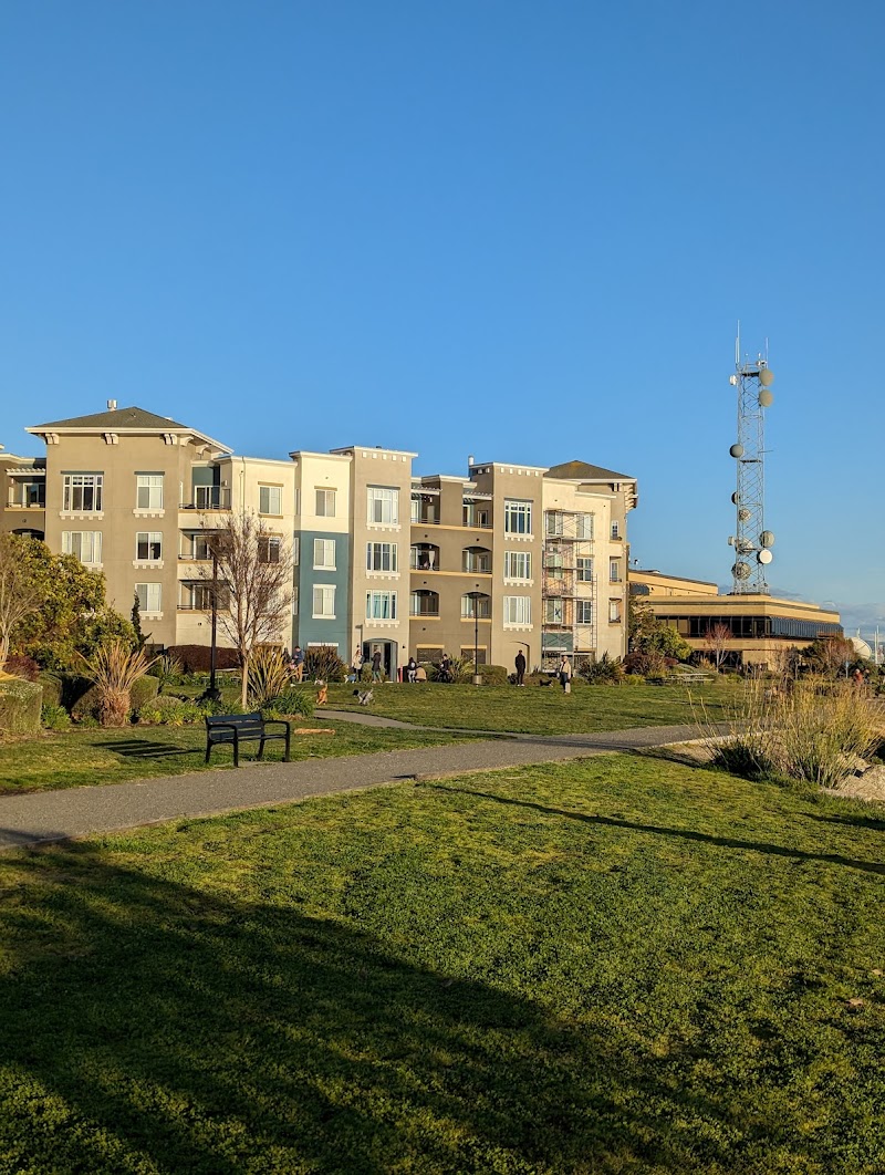 Dog Play Area at The Landing - Oakland, CA