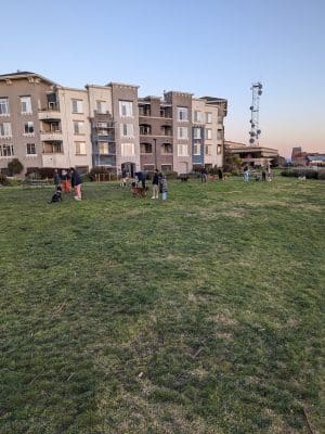 Dog Play Area at The Landing