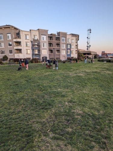 Dog Play Area at The Landing