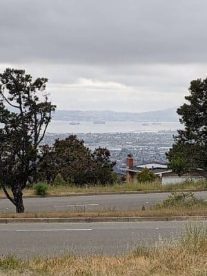Dunn Trail