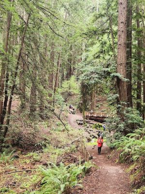 Dunn Trail