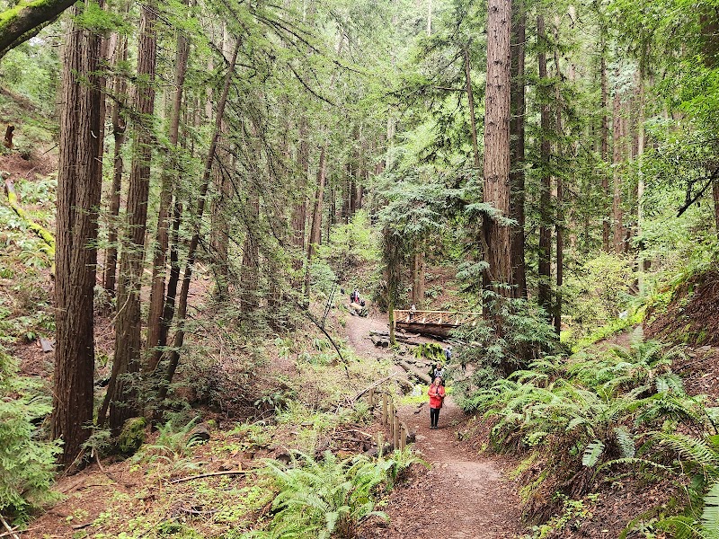 Dunn Trail - Oakland, CA