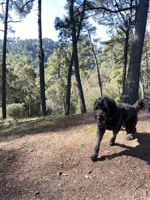 Dunn Trail