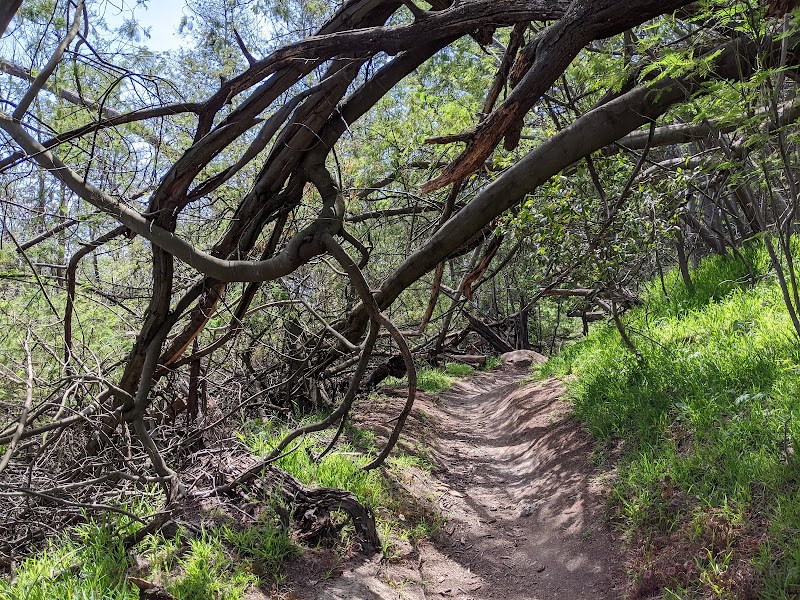 Dunn Trail - Oakland, CA