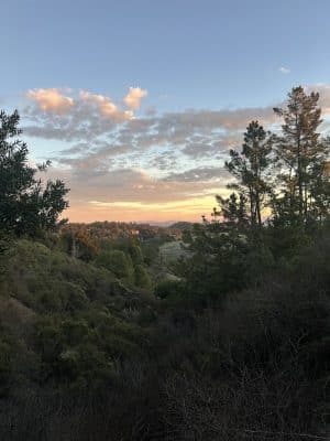 Dunn Trail