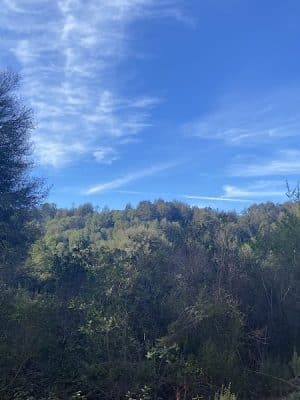 Dunn Trail
