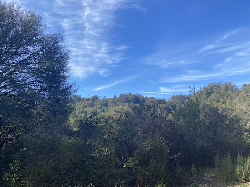 Dunn Trail - Oakland, CA