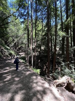 Dunn Trail