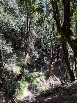Dunn Trail