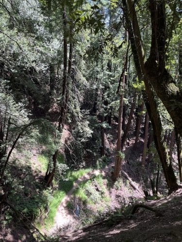 Dunn Trail