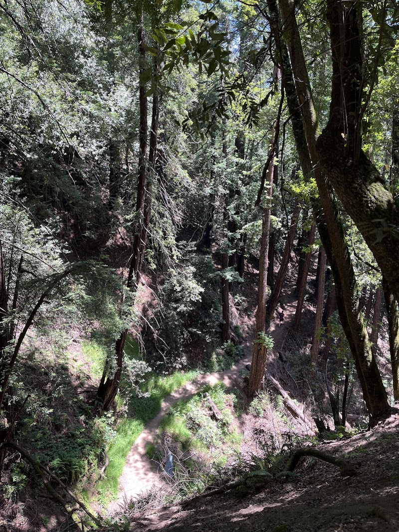 Dunn Trail - Oakland, CA