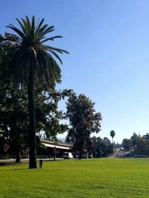 Eastshore Park