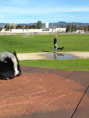 Estuary Park