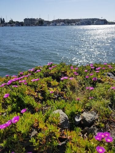 Estuary Park