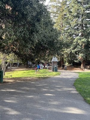 Frog Park