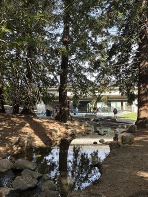 Frog Park
