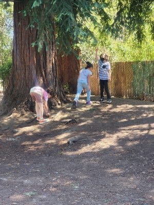 Frog Park