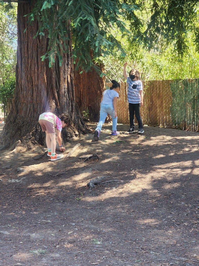 Frog Park - Oakland, CA