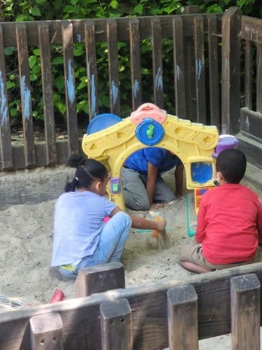 Frog Park