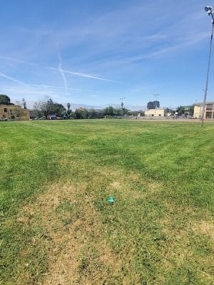 Garfield Park