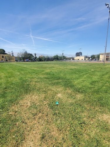 Garfield Park